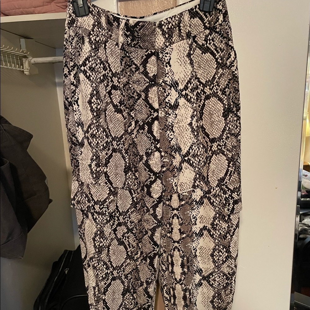 Amazing snakeskin joggers Express